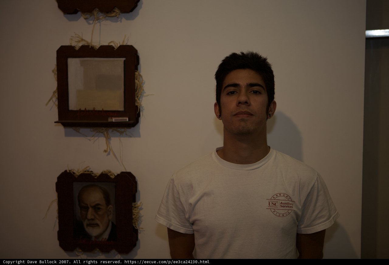 Freudian Art Wall