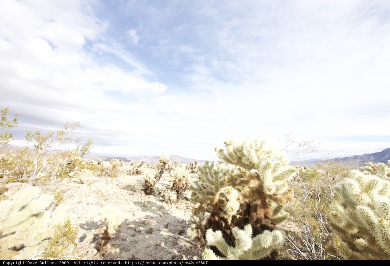 Majestic Desert Scenery