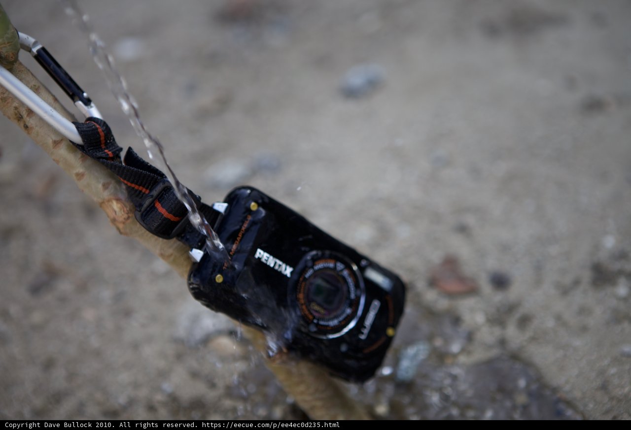 Camera on a Branch