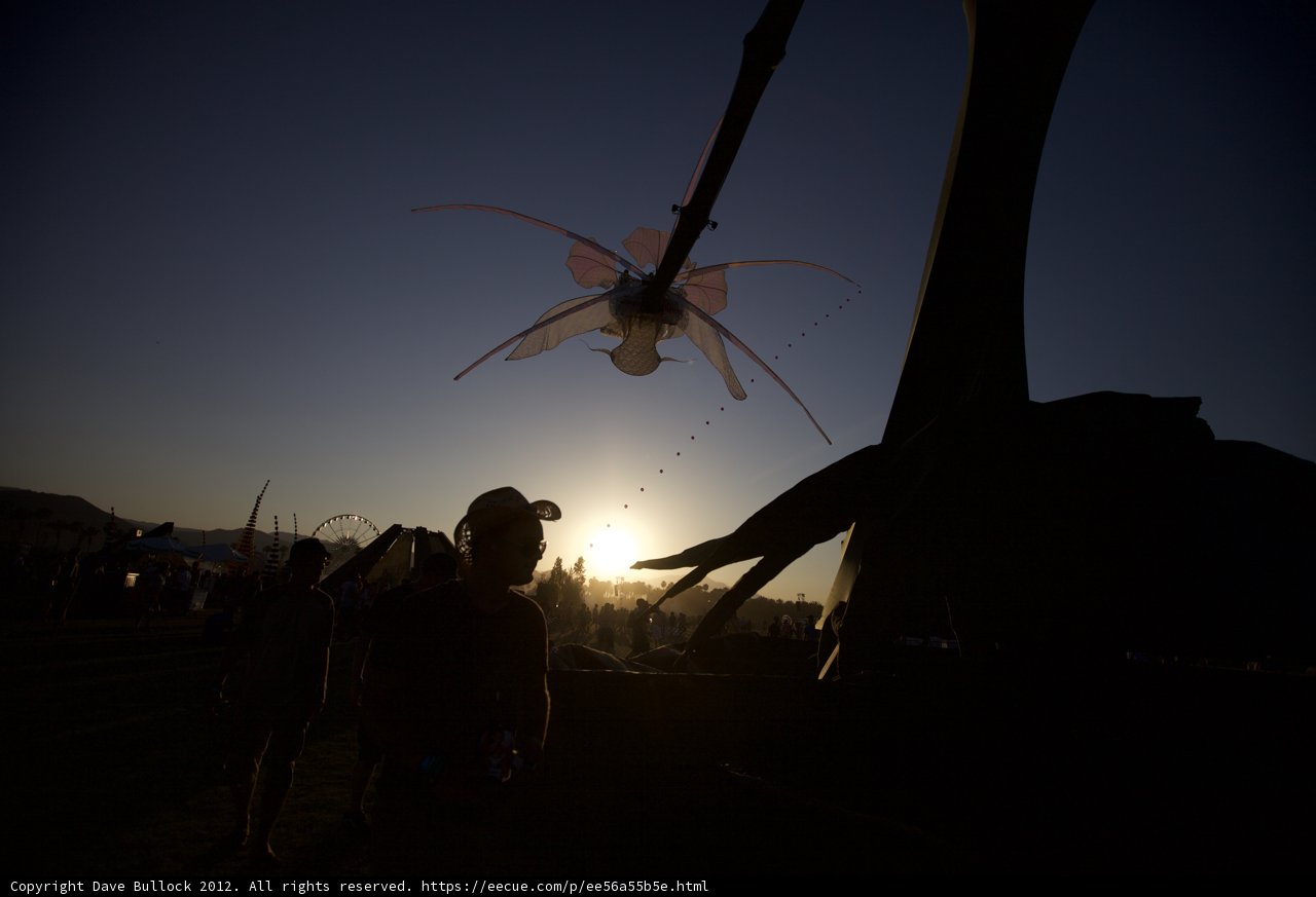 Flying Kite at Sunset