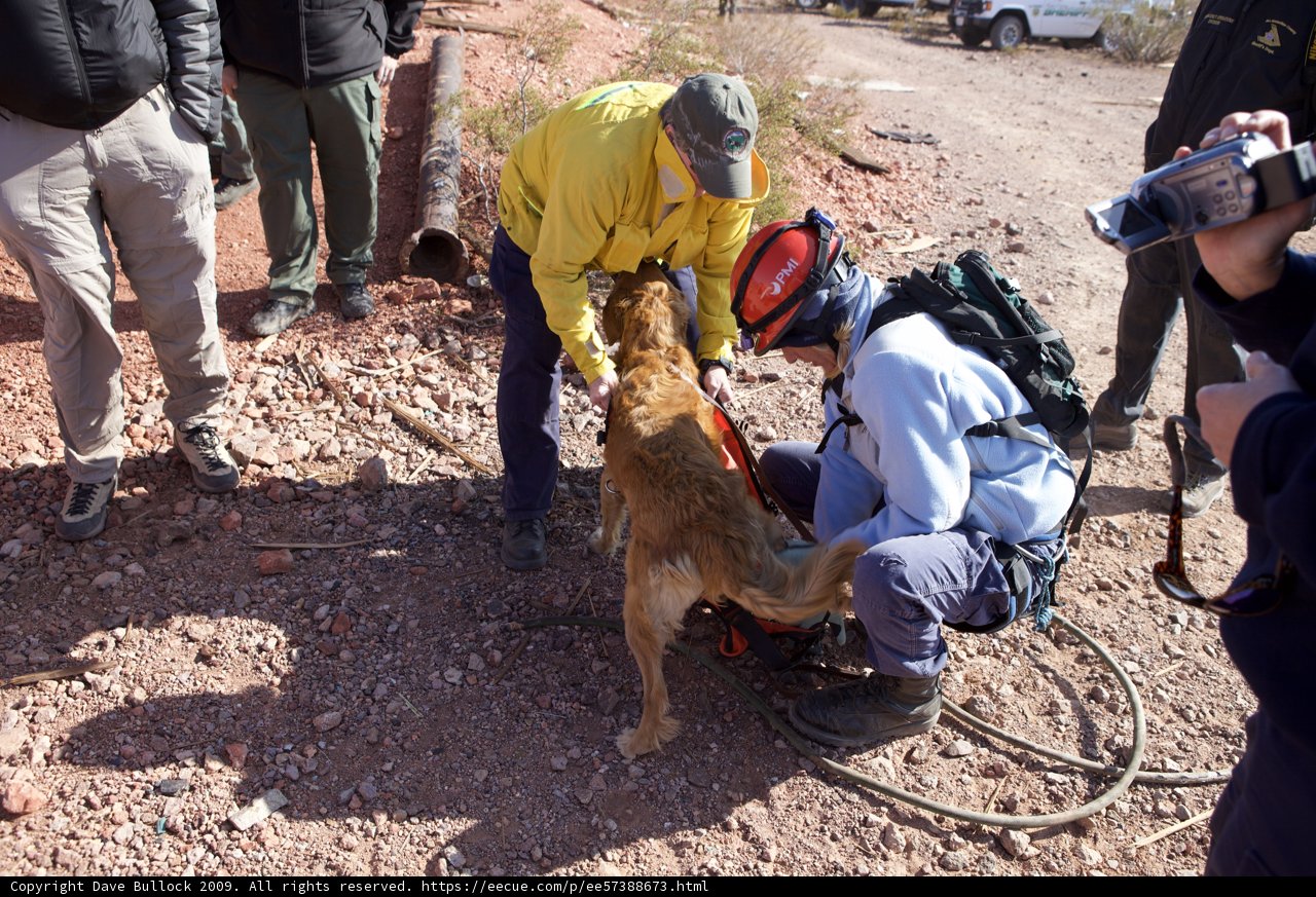 Mine Rescue: Man and Dog