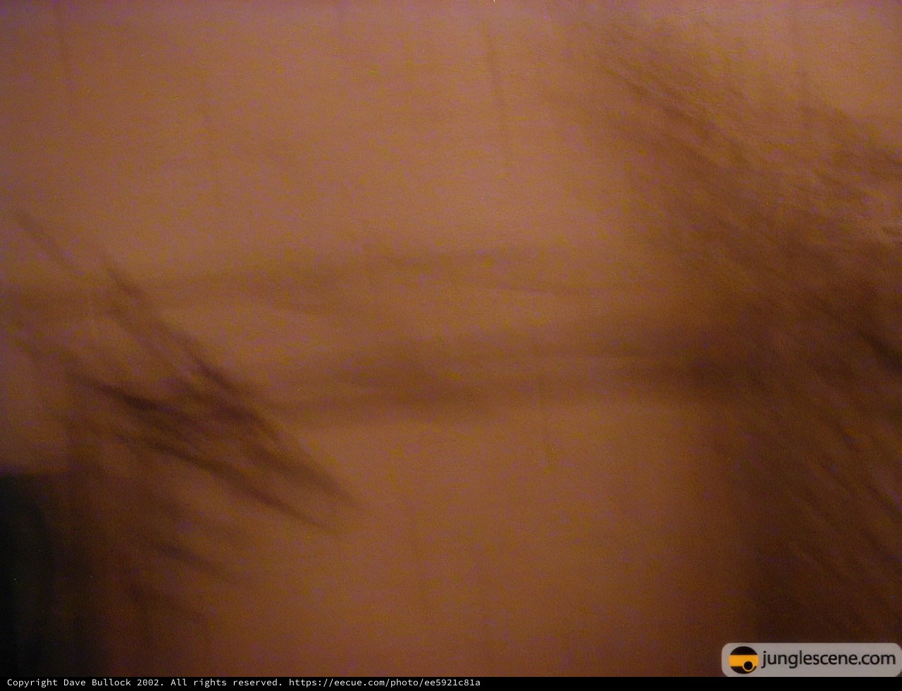 Blurred Wall Artistry