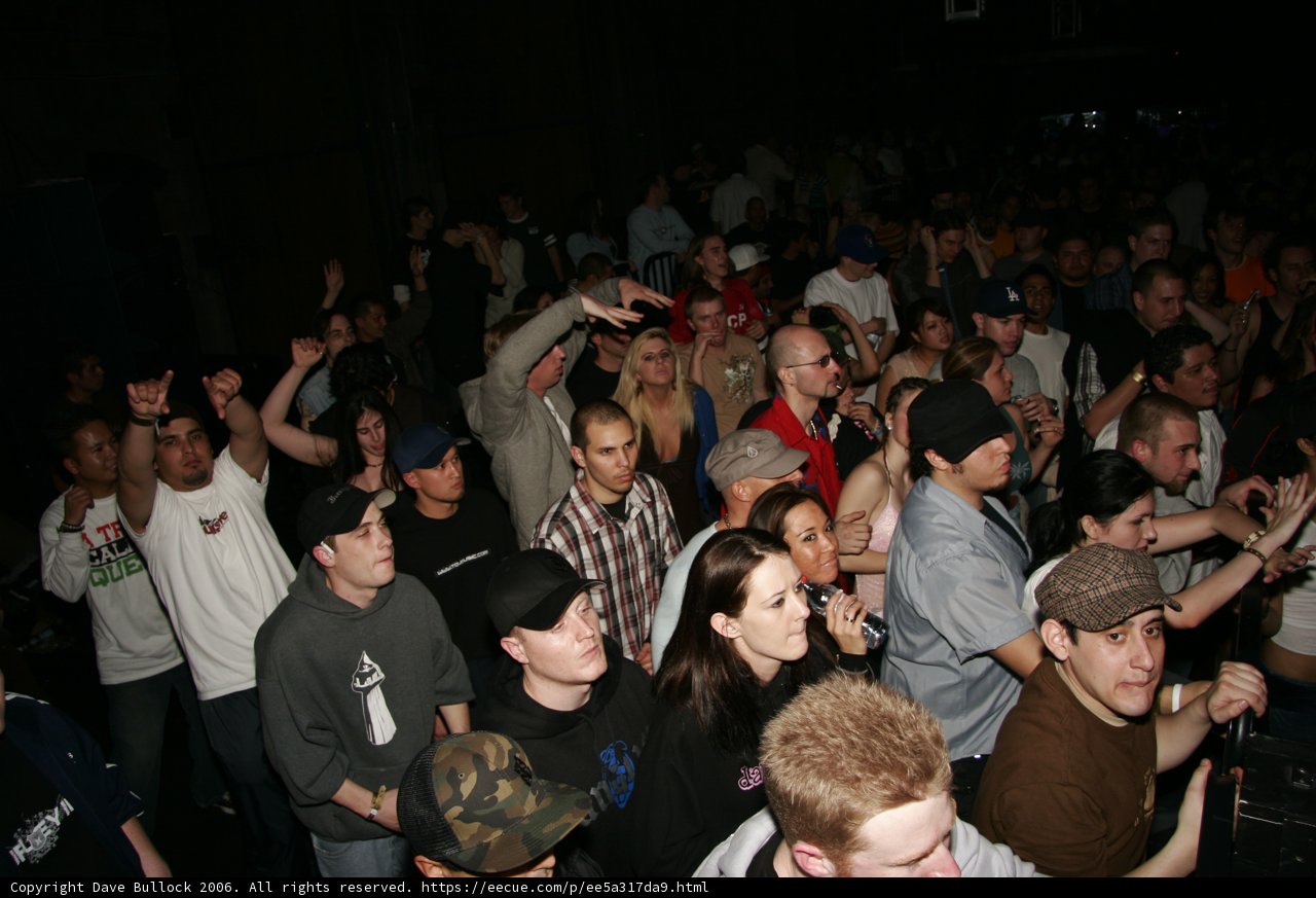 Funky Crowd at the Viram Concert