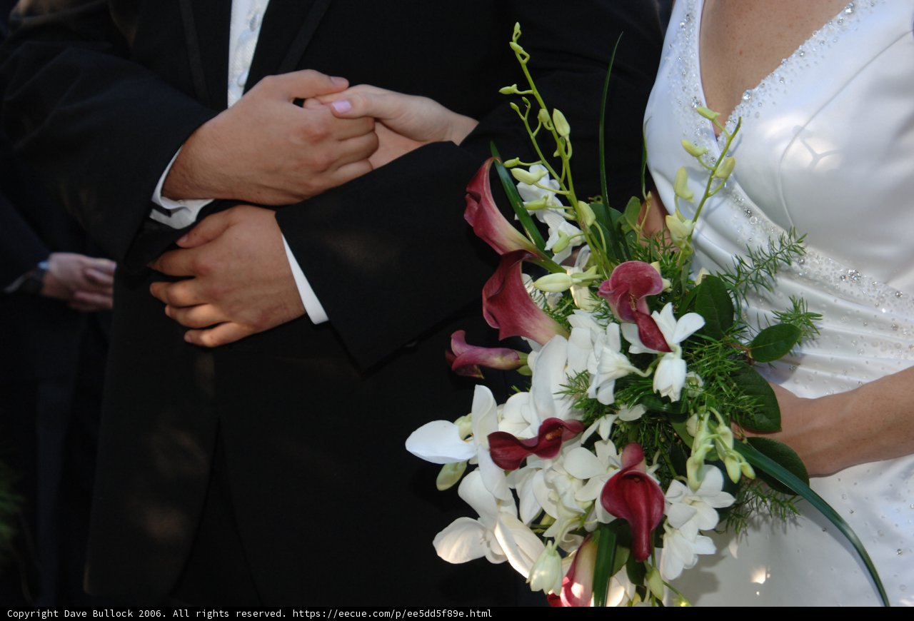 Holding Hands on Our Wedding Day