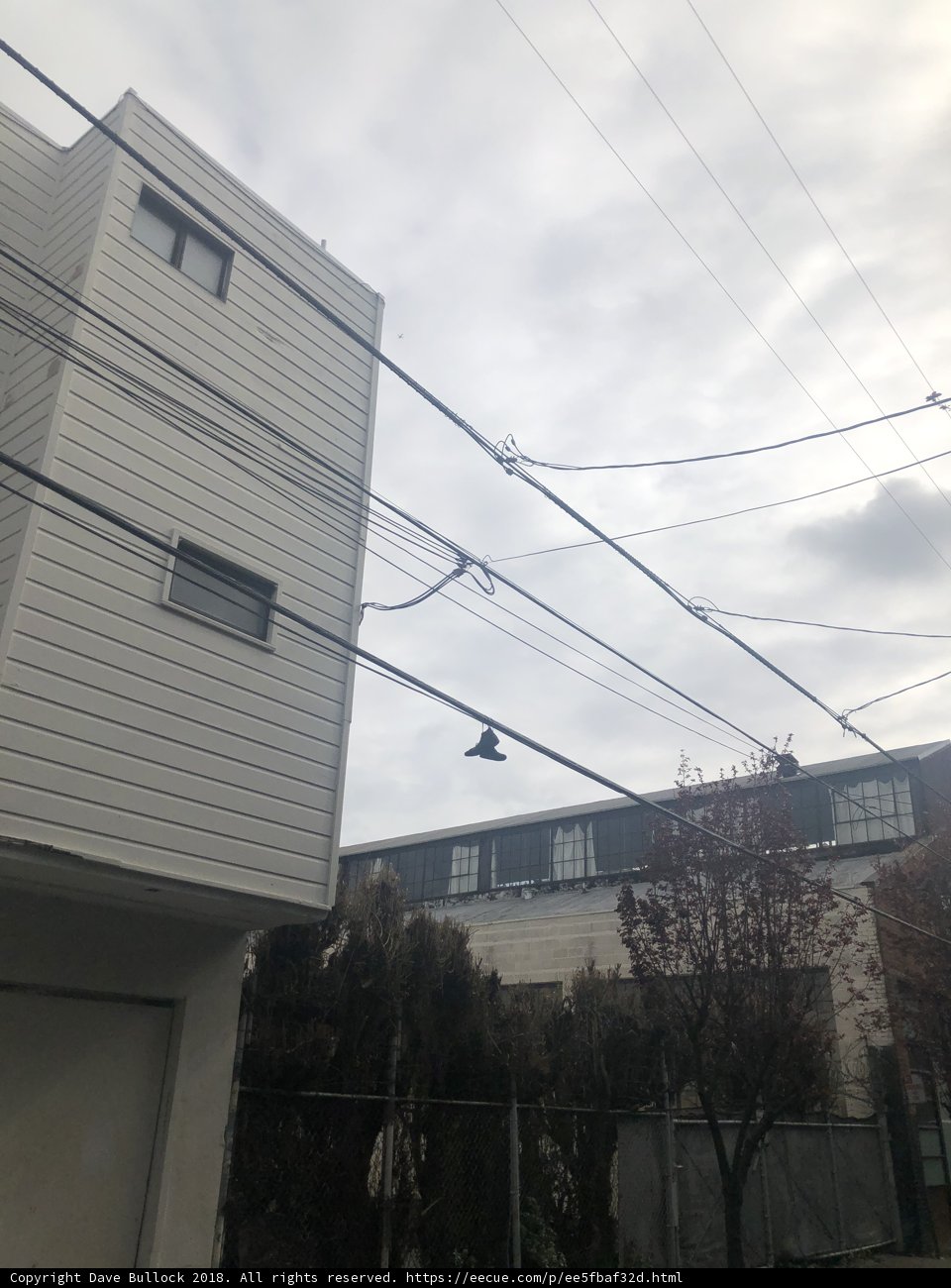 Hanging Sole