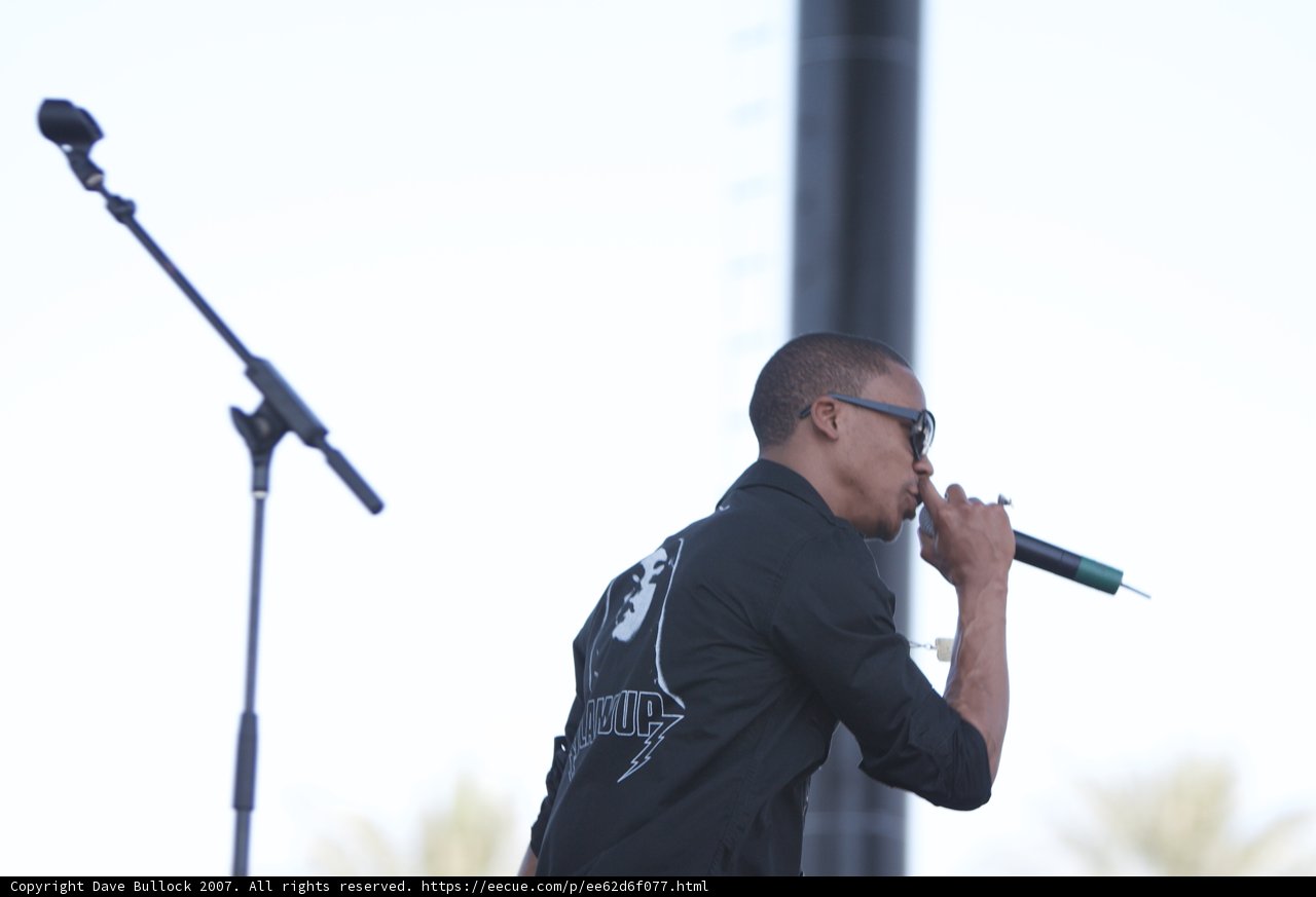Sunglasses Serenade