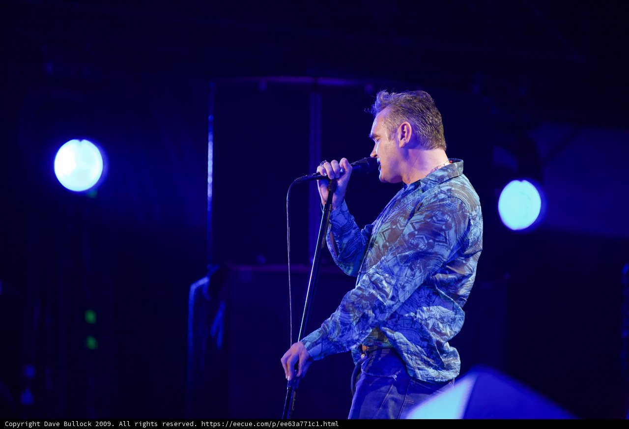 Blue Shirt Singer