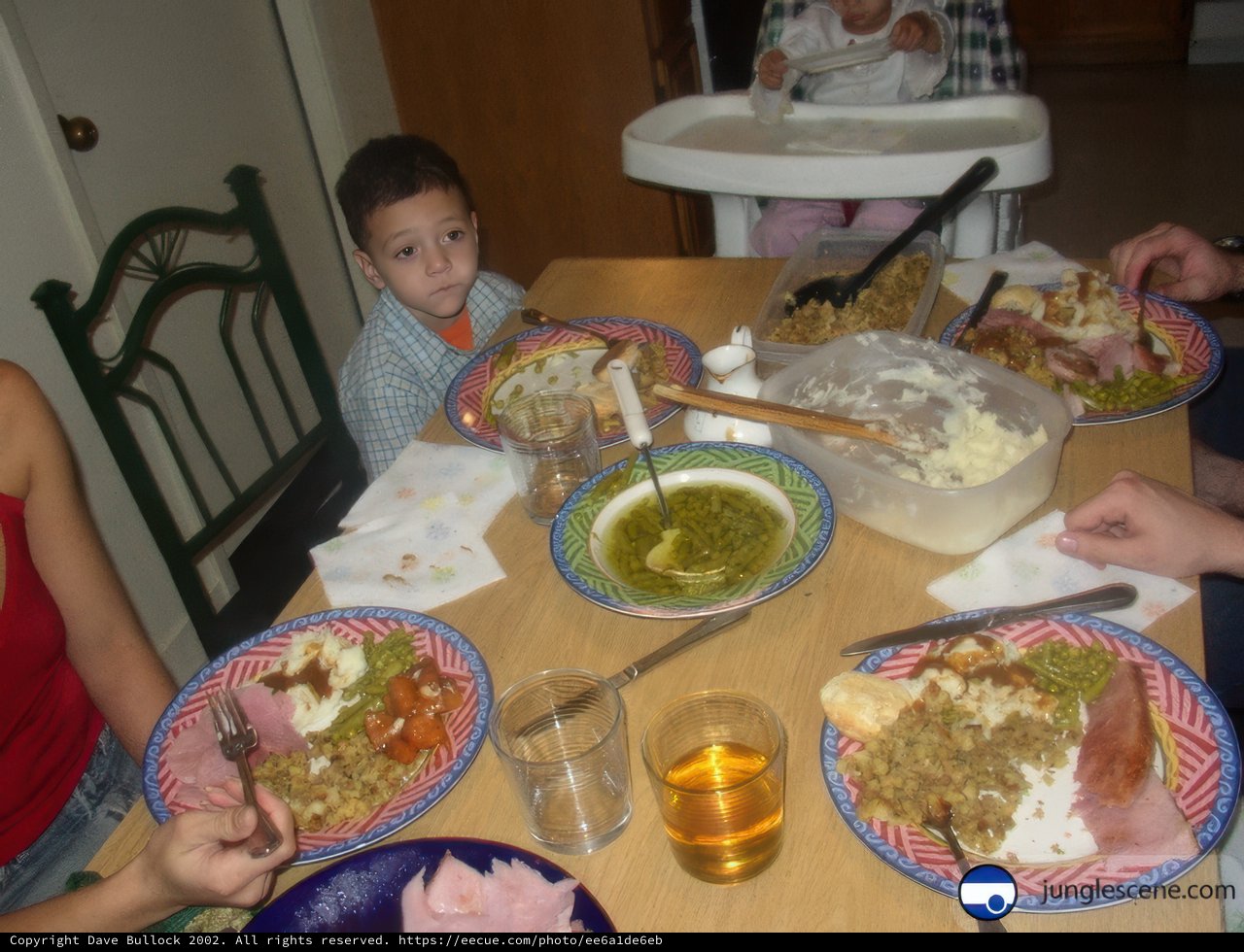 Family Gathering Around the Dining Table