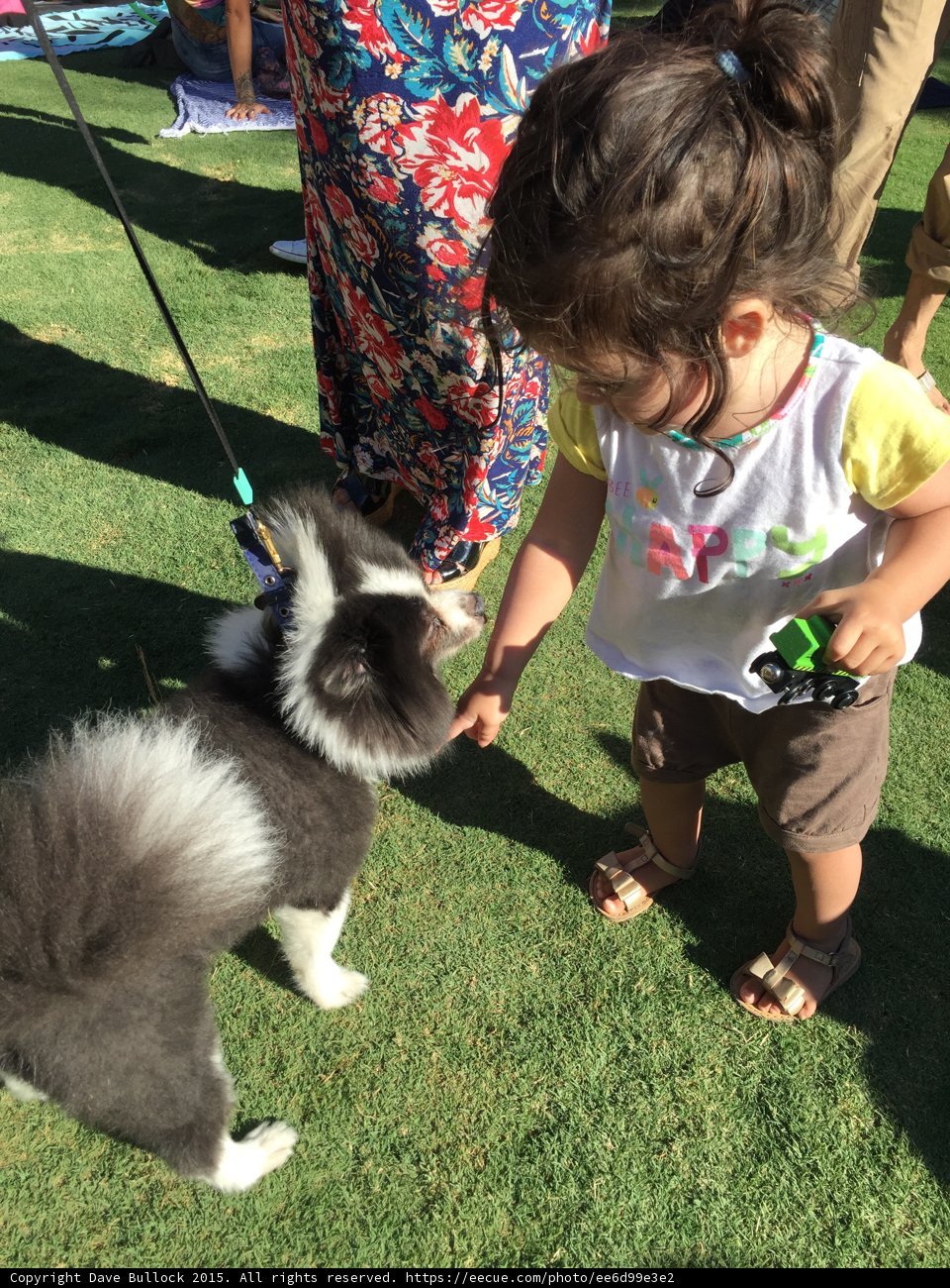 Girl Petting Fluffy Dog
