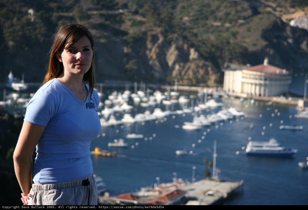 Woman Overlooking Catalina Island Harbor Vista
