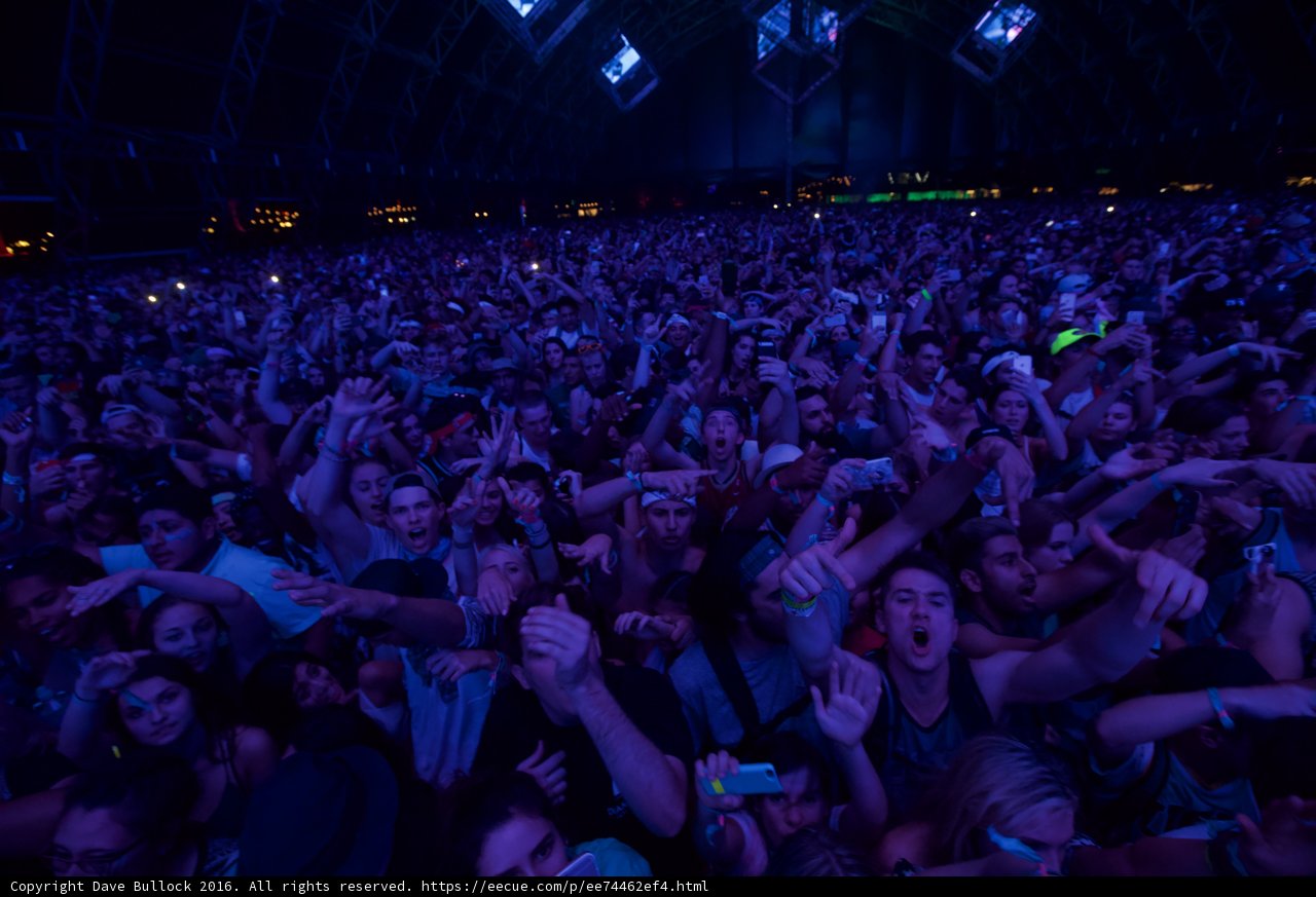 Hands Up at Coachella