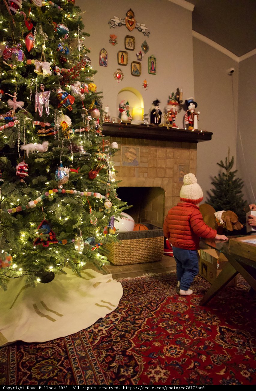 Wesley’s Cozy Christmas Playtime