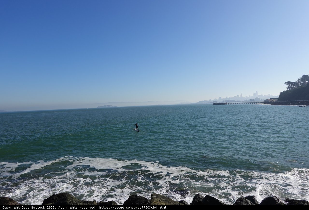 Surfing Amidst the Cityscape