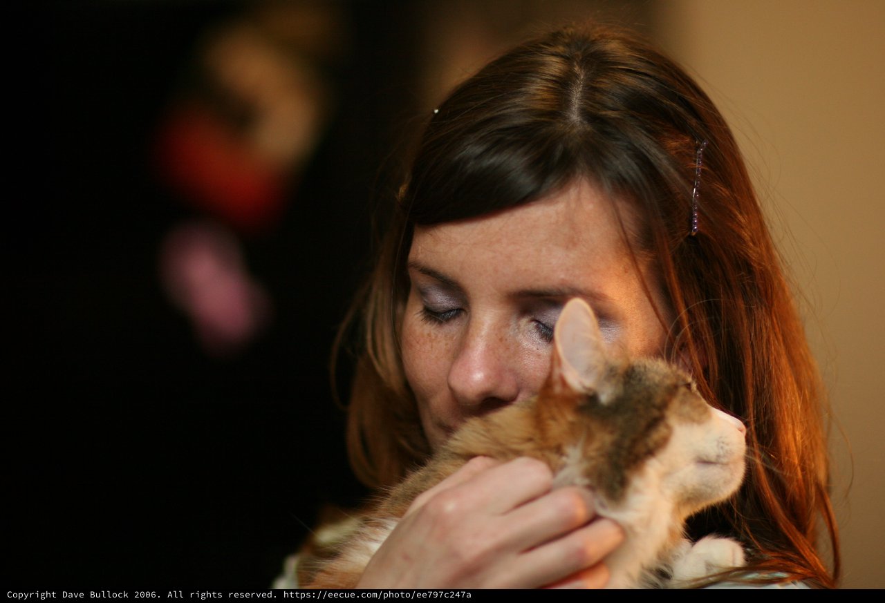 Woman Tenderly Nuzzles Orange Tabby Kitten