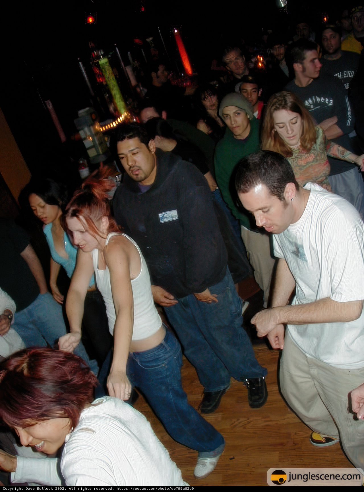 Nightclub Crowd