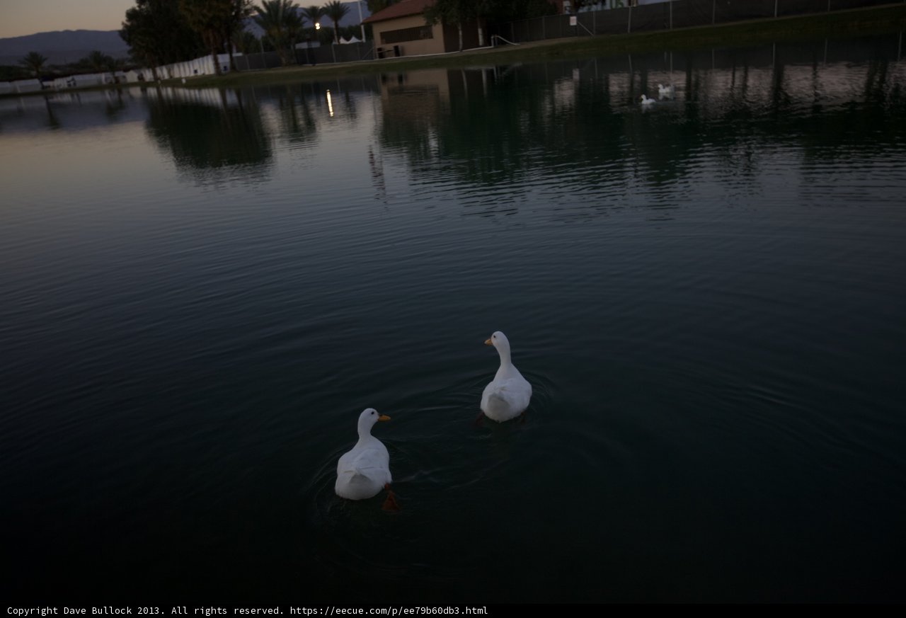 Twilight on the Lake
