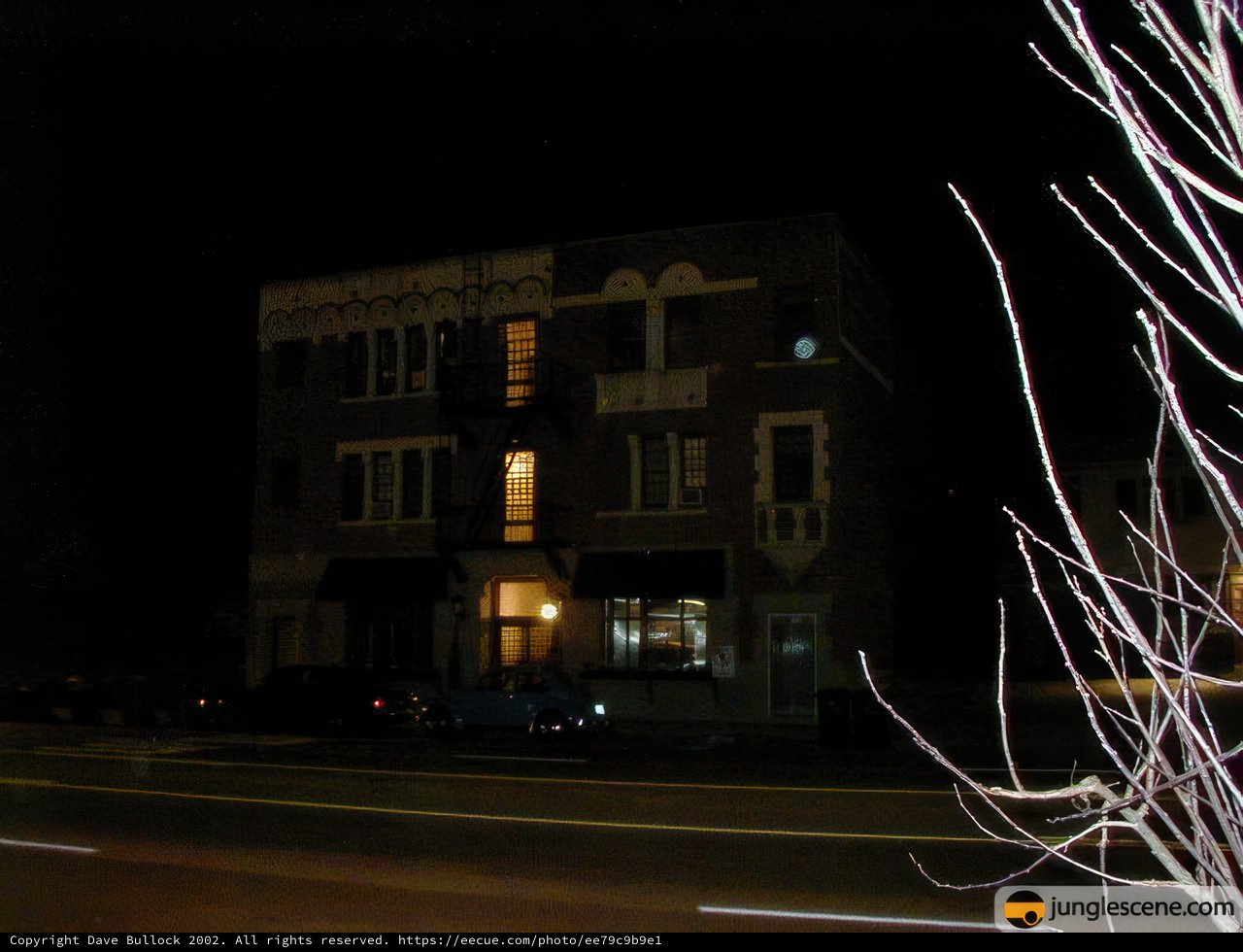 Nighttime in the Urban Jungle