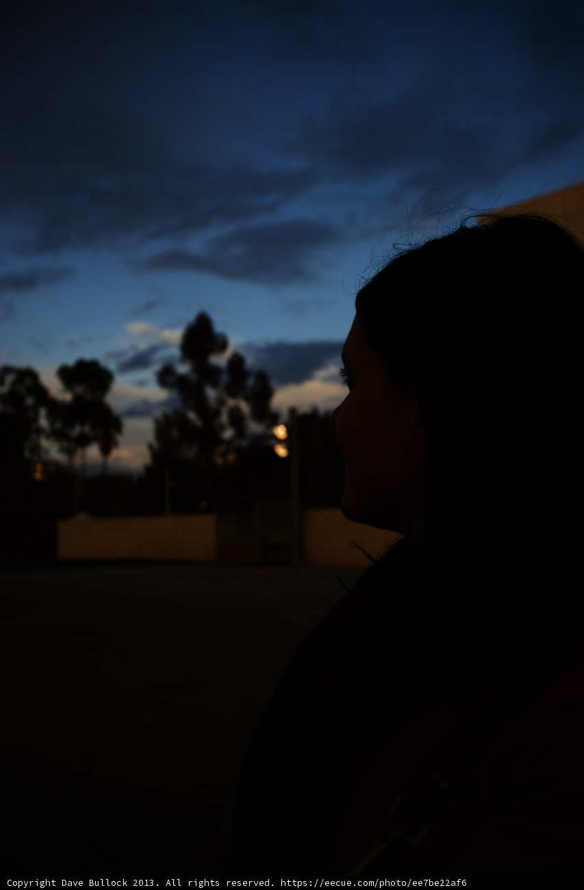 Dusk and Deliberation