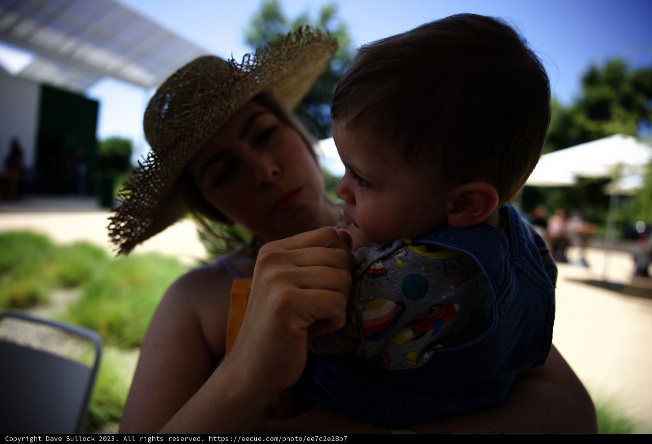 Cherished Moments under the Sun