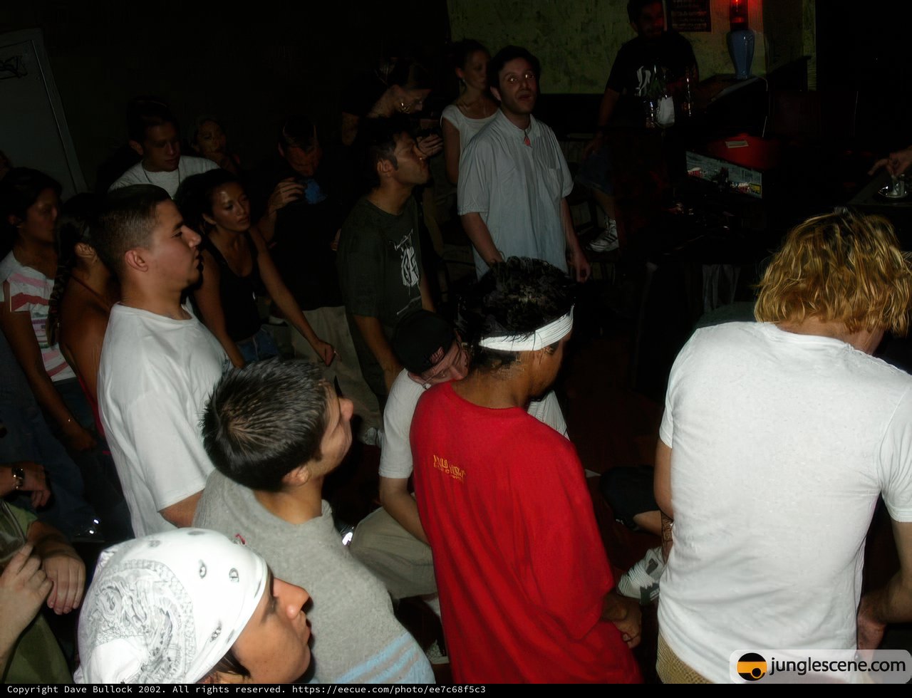 Nightclub Fun with DJ and Friends