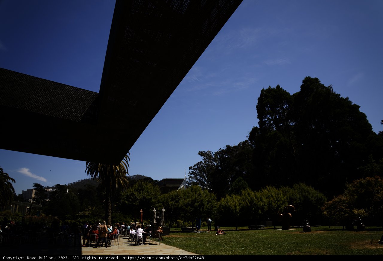 A Serene Summer Day in de Young Museum Park