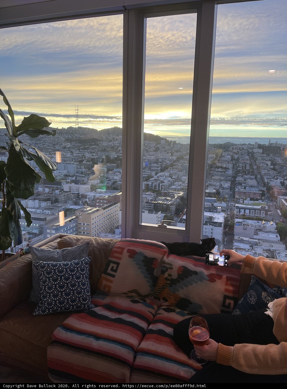 Cozy Evening on the Couch