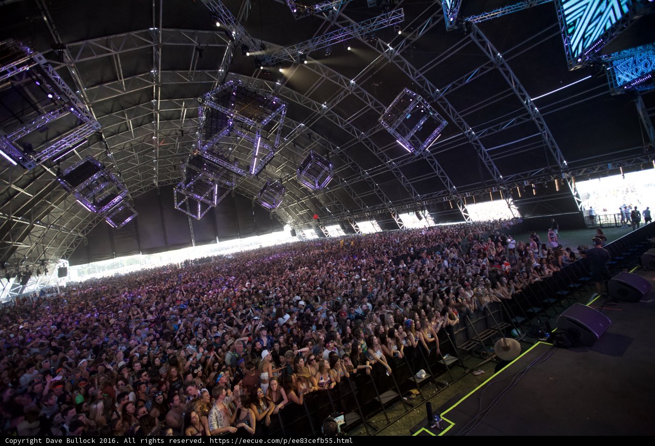 Coachella Crowd Hype