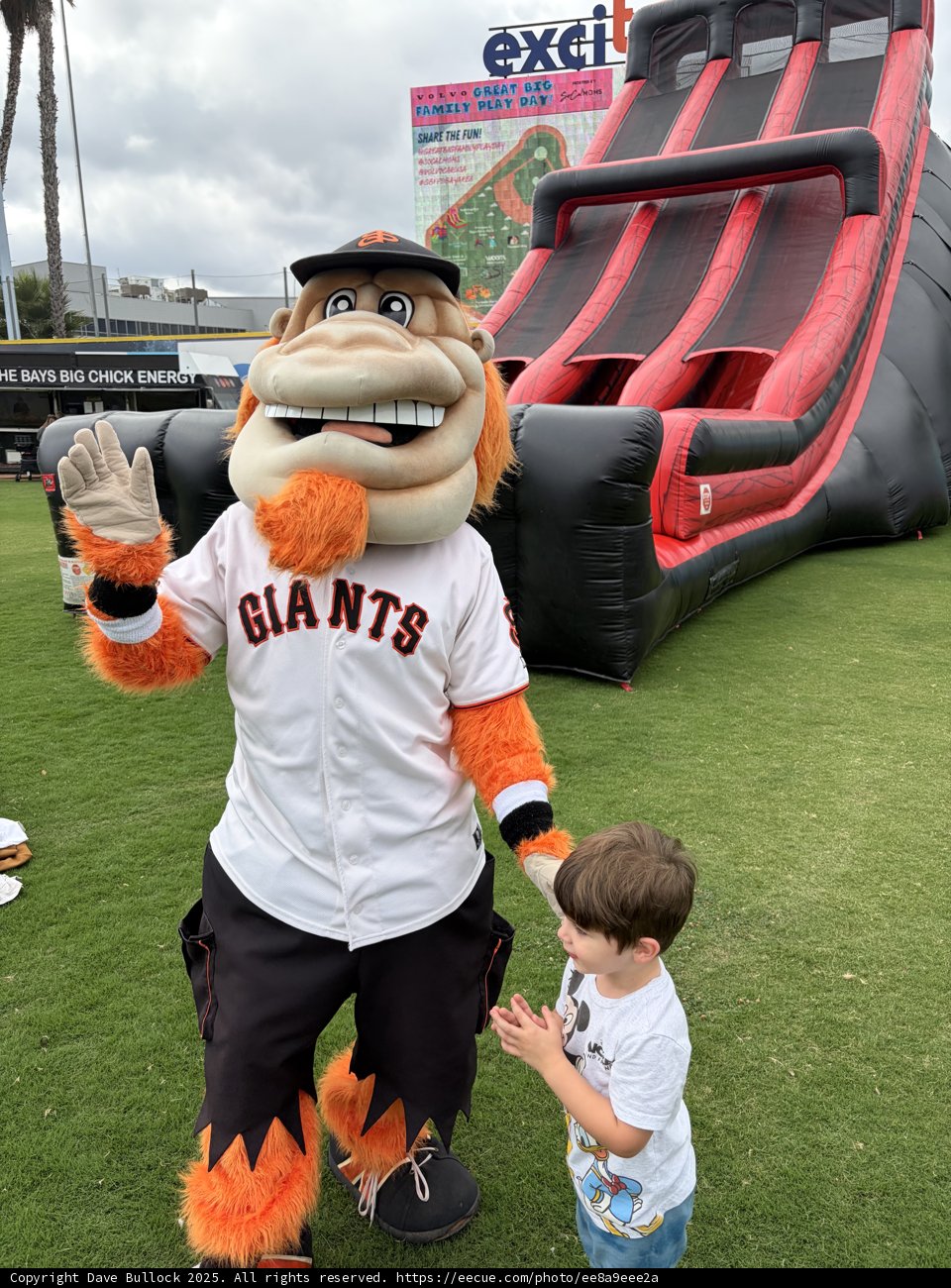 Playful Encounters at Excite Ballpark