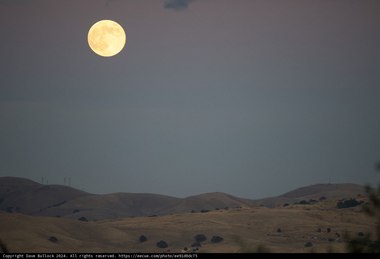Moonlit Majesty Over Walnut Creek