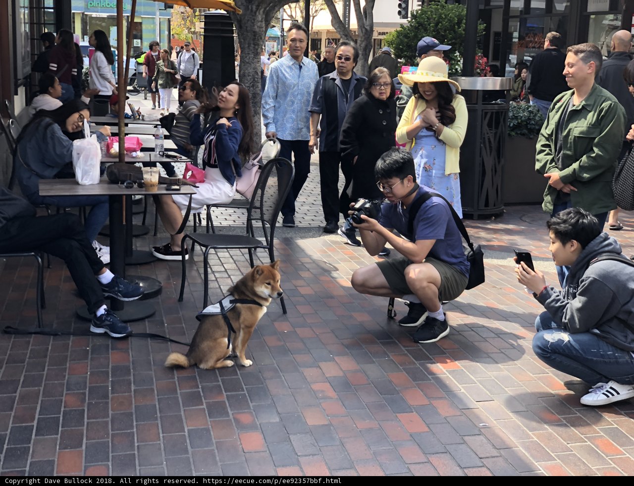 A Gathering on the Cafe Sidewalk