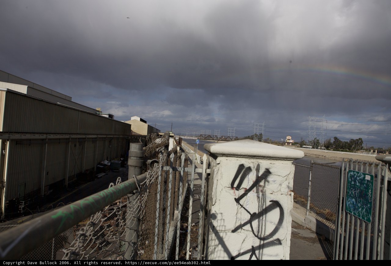 Rainbow over the Urban Jungle