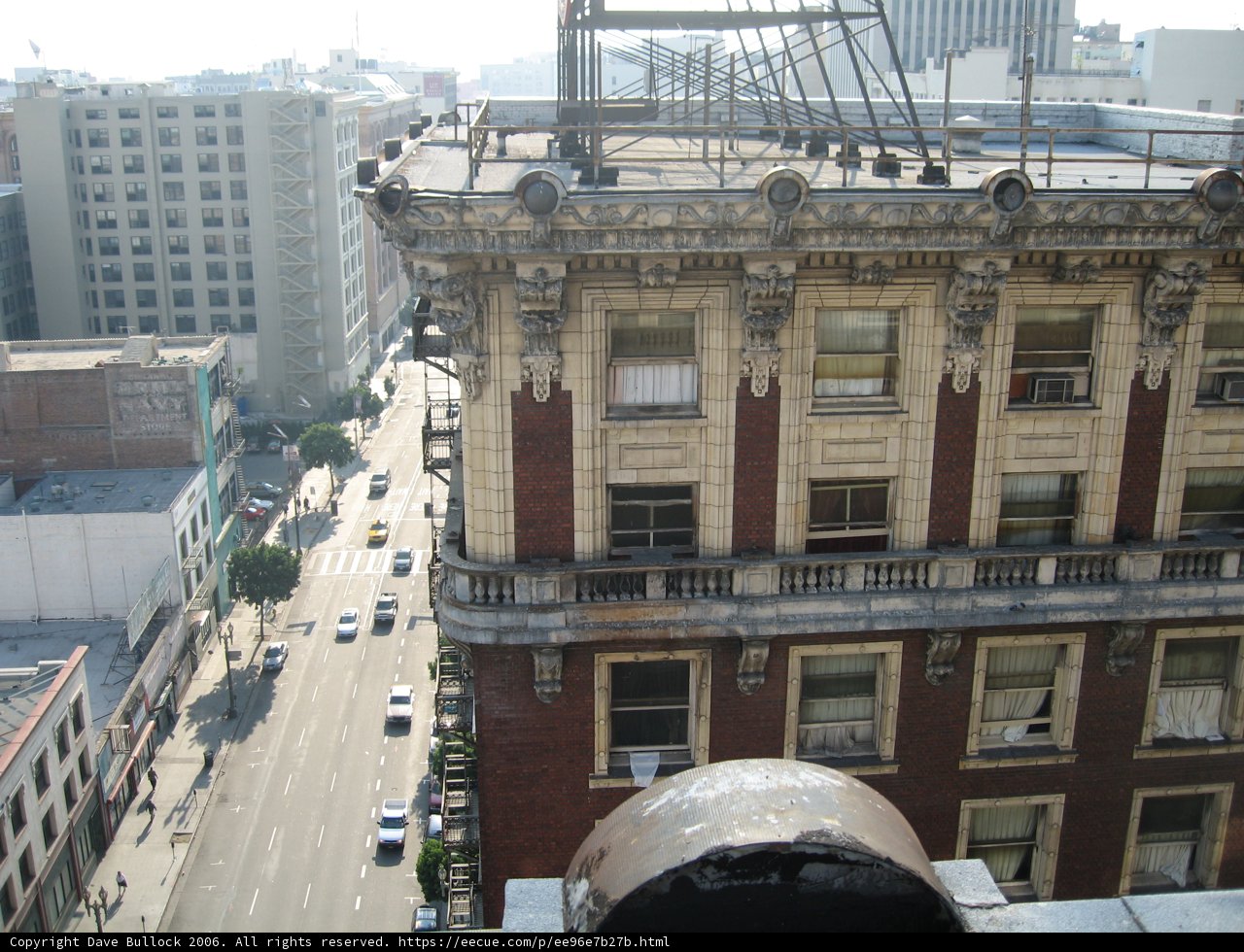 Overlooking the Urban Jungle