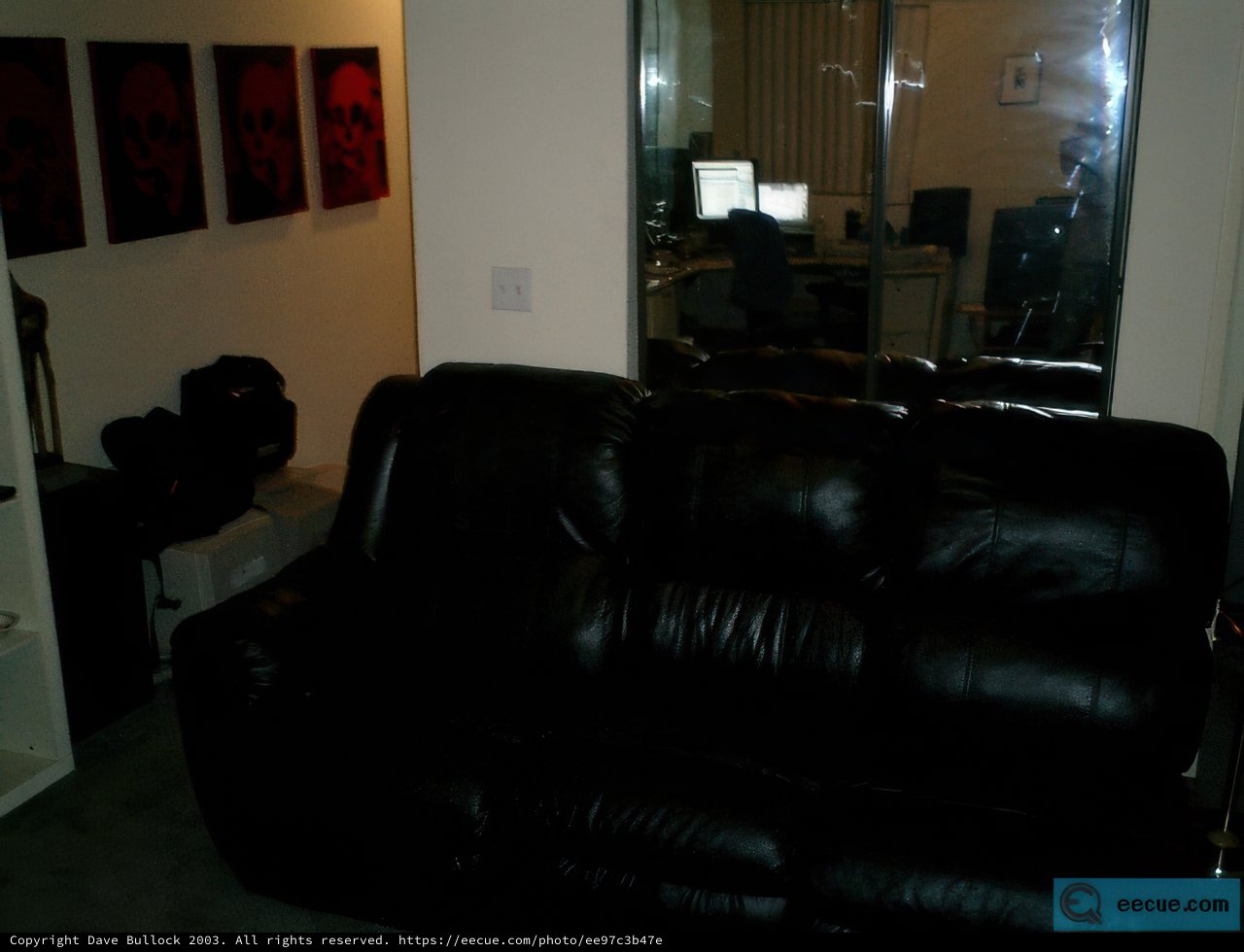 Black Leather Couch in a Contemporary Living Room