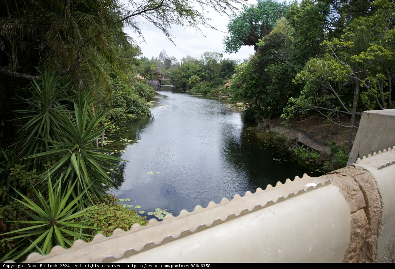 Serenity Unleashed: The Enchanting Wilderness of Disneyworld Animal Kingdom