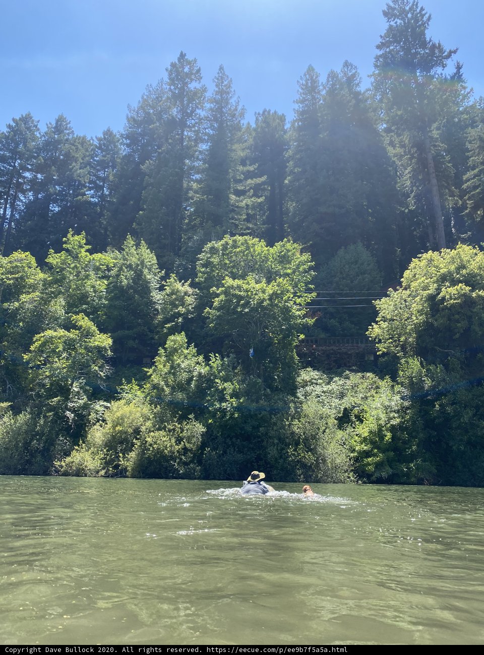 Serene Ride on the Russian River