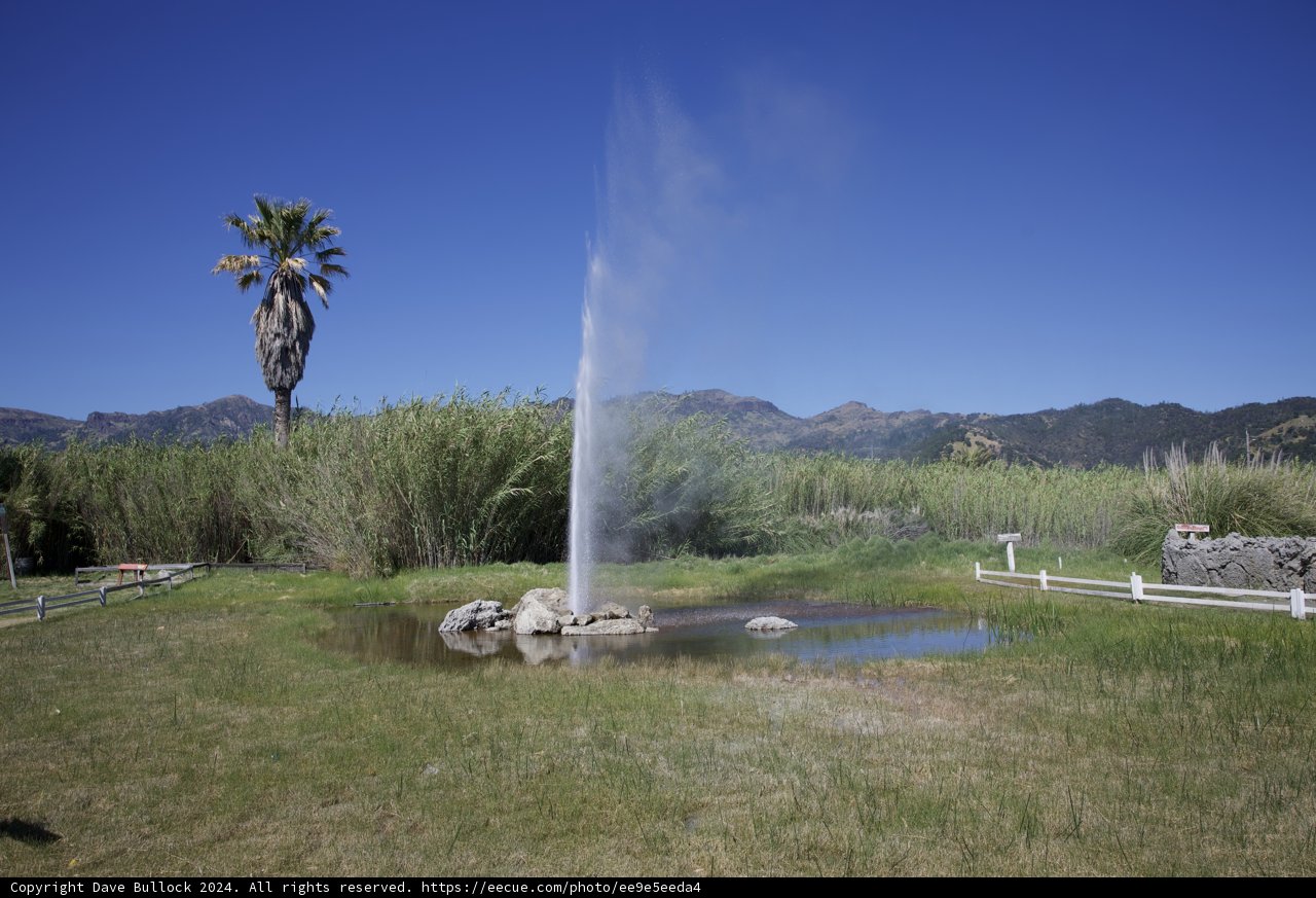 Majestic Eruption at Calistoga's Old Faithful Geyser