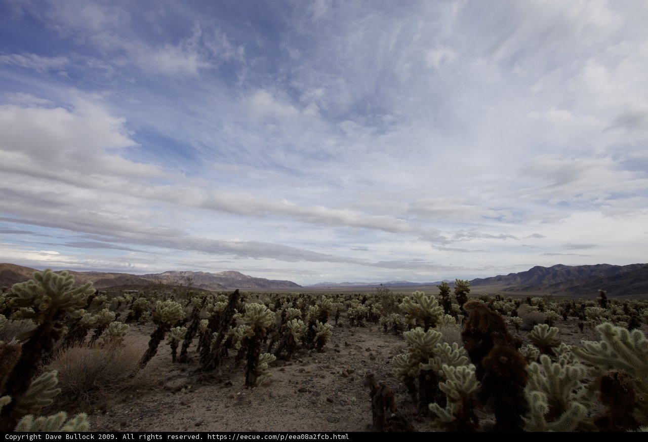Majestic Desert Landscape with Cacti and Mountains