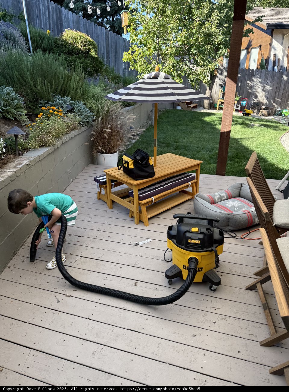 Summer Cleanup Adventure
