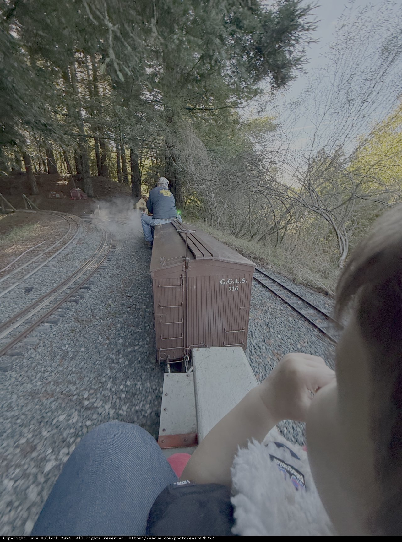 Heritage Railway Journey Through Forest