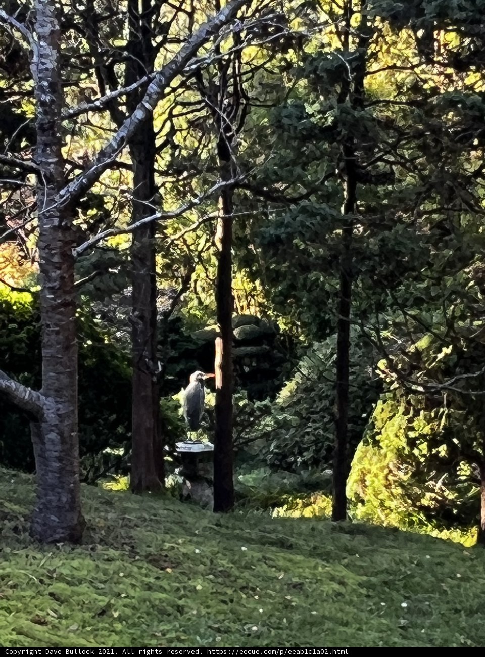 Monkey Business in the Grove
