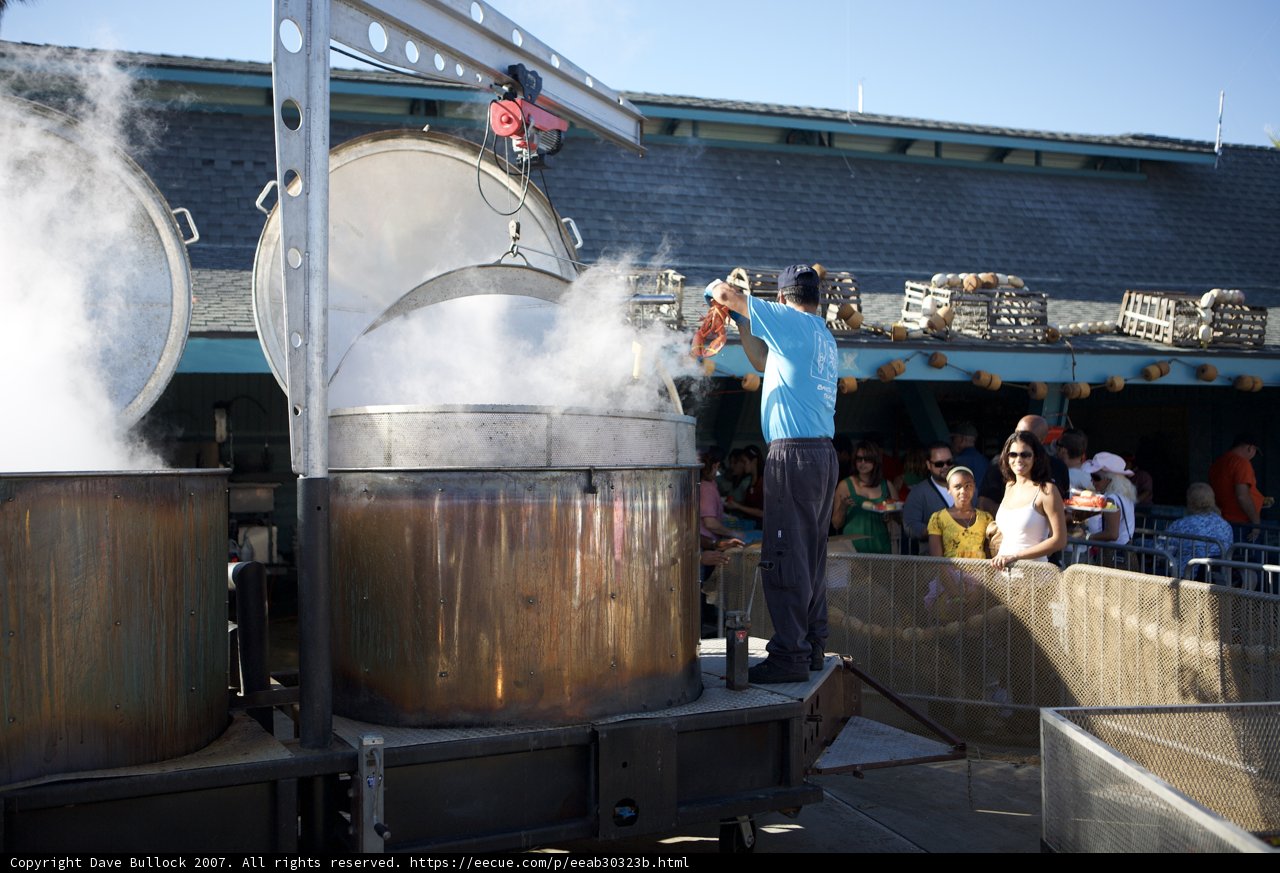 Lobster Festival Steamy Delights