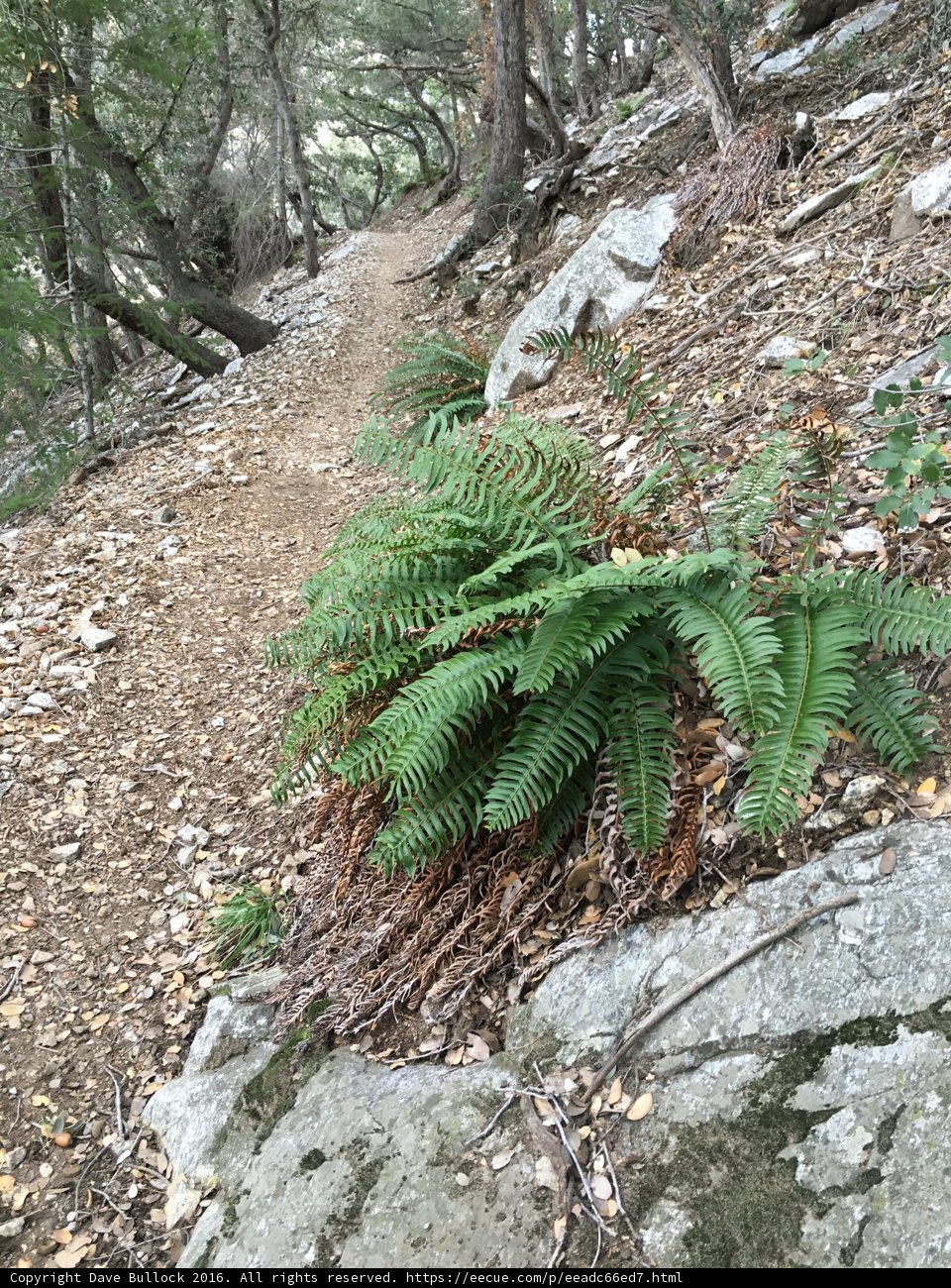 Nature's Pathway