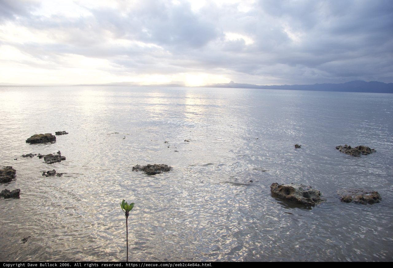 Solitude in the Sea
