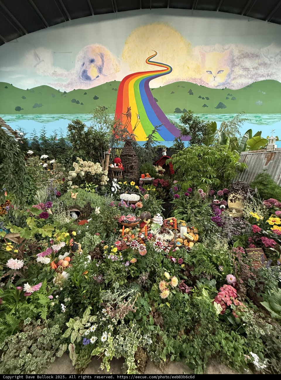 Vibrant Oasis in Santa Rosa