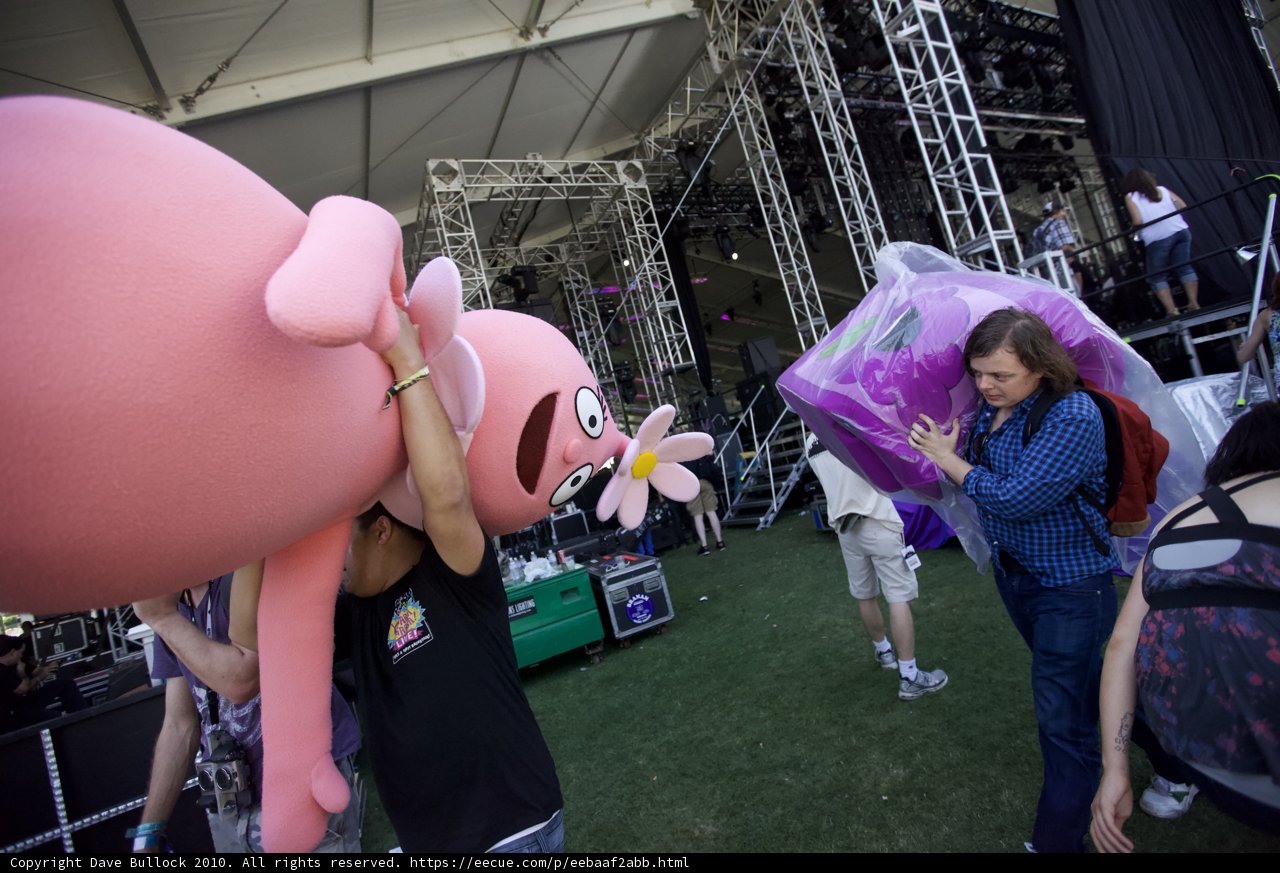 Festival Fun with My Favorite Stuffed Animal