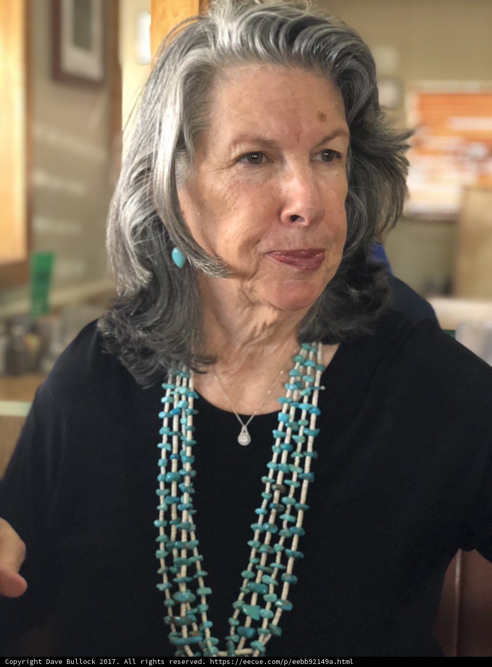 Turquoise Bead Necklace