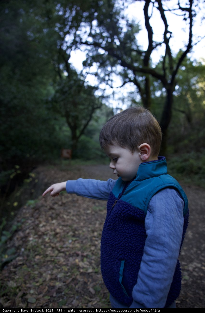 Curious Explorations