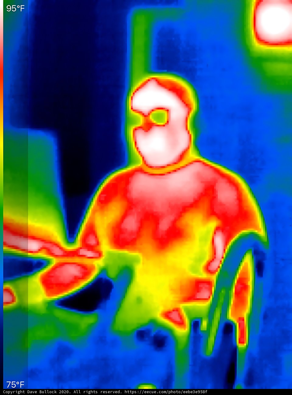 Thermal Imaging Portrait of Person Indoors