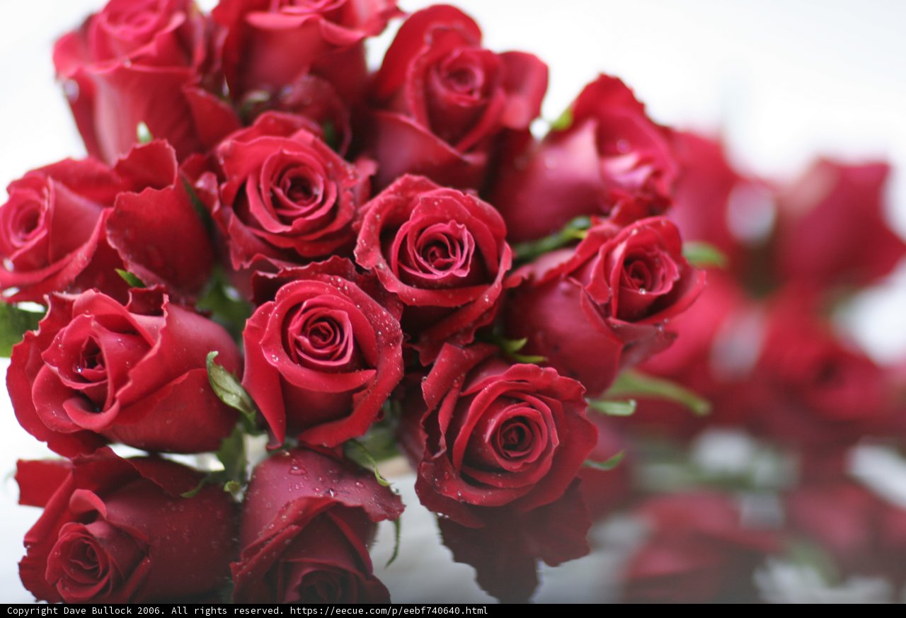 Red Rose Bouquet