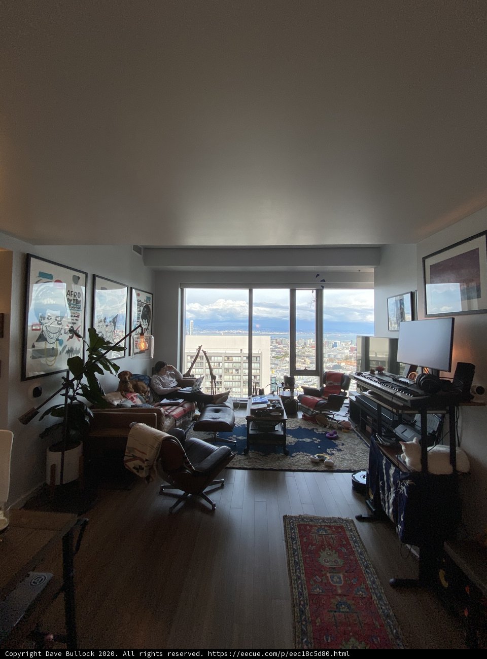 Cozy Living Room Setup in San Francisco